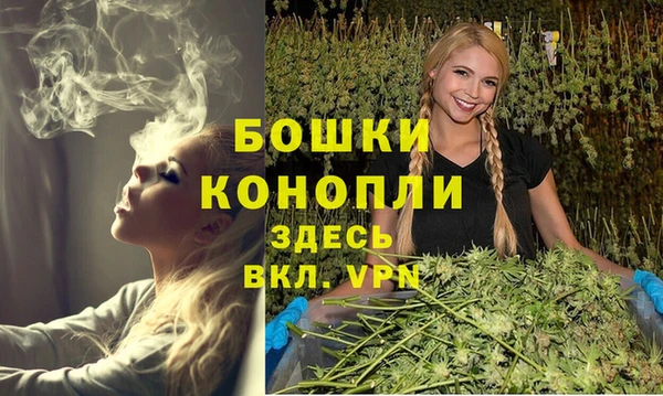 стафф Няндома