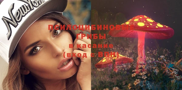 стафф Няндома