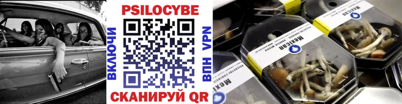 Псилоцибиновые грибы прущие грибы  KRAKEN вход  Кологрив 
