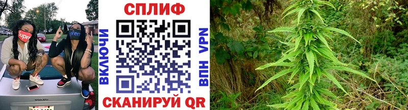 МАРИХУАНА тримм  кракен зеркало  Кологрив 